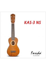 KAS-3 NS